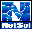 NetSol Technologies Inc.